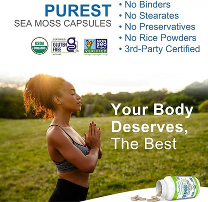 Power By Naturals Sea Moss Plus – USDA Organic Irish Sea Moss Capsules with Bladderwrack & Burdock Root – Immune Support – Vegan, Non-GMO, Gluten-Free – 120 Capsules, 2-Pack (2-Month Supply)