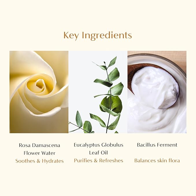 CAELA Feminine Wash, pH Balanced Foaming Cleanser with Triple Lactobacillus Ferment Complex – Gentle Daily Intimate Care for Women, Sea Buckthorn & Damask Rose, Sulfate-Free, 5.07 Fl Oz