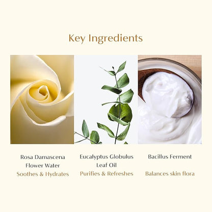 CAELA Feminine Wash, pH Balanced Foaming Cleanser with Triple Lactobacillus Ferment Complex – Gentle Daily Intimate Care for Women, Sea Buckthorn & Damask Rose, Sulfate-Free, 5.07 Fl Oz