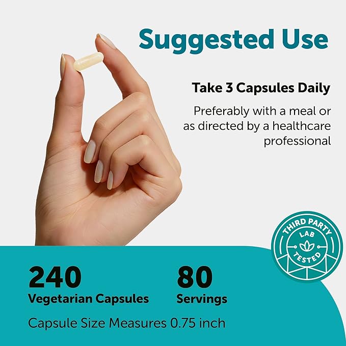 Micro Ingredients Hyaluronic Acid Complex, 240 Vegetarian Capsules | with Collagen, MSM, Vitamin C, Biotin, Turmeric & Boswellia | Non-GMO, Filler-Free, cGMP Manufactured & Lab Tested