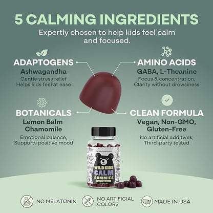 Wild Foods Kids Calm Gummies - Ashwagandha Gummies for Kids w/GABA, L-Theanine, Lemon Balm & Charmomile - Support Natural Relaxation, Stress Relief & Sleep, for Children 4+, Berry Flavor, 60 Count