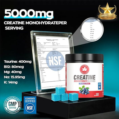 Creatine Gummies, NSF Certified, 5g Creatine Monohydrate per Serving with Taurine & B12, Blueberry Flavor, 120 Count, for Men & Women