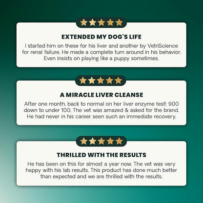 VetriScience Liver Health Chews with Milk Thistle, Vetri Liver Detox Supplement for Dogs, Turmeric and Artichoke Leaf for Liver Support and Detoxification, Chicken, 60 Count