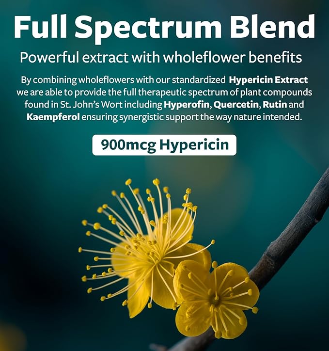 St John's Wort Capsules - Powerful & Potent Saint John's Wort Extract & Whole Herb Complex Standardized to 900mcg Hypericin for Balancing Daily Mood Support - Vegan Non-GMO & Lab Verified (60 Caps)