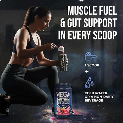 Vega Sport Vegan Protein Powder + Recovery - 30g Plant Based Protein per Serving, Berry, 19 Servings, 5g BCAAs, Probiotics, NSF Certified, for Shakes & Smoothies, 1.8lbs (Packaging May Vary)