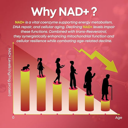 NAD+ Gummies, 1200mg Liposomal NAD Supplement for Women & Men with Trans-Resveratrol & Black Pepper Extract Anti-Aging Supplement, Brain & Cellular Mitochondrial Health - 60 Gummies Cherry