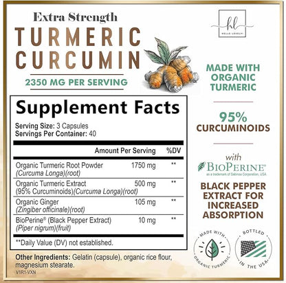 Turmeric Curcumin Supplement with 95% Curcuminoids, Organic Turmeric & Ginger 1750mg, BioPerine Black Pepper for Best Absorption, Nature's Vegan Joint Support, Non-GMO, Bottled in USA - 120 Capsules