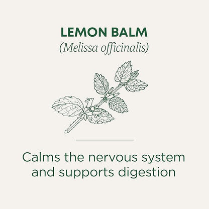 Traditional Medicinals Organic, Lemon Balm - Supports Stress Relief & Digestive Health - Kosher, Non-GMO, Caffeine-Free, Compostable - 16 Tea Bags