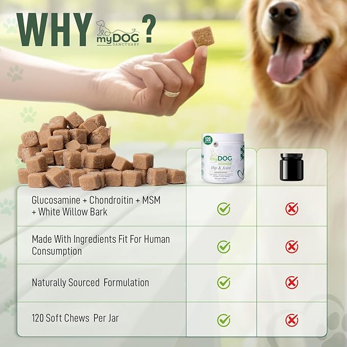 120 Chews Hip and Joint Supplement for Dogs - Glucosamine, Chondroitin & MSM,Dog Joint Supplement - Mobility, Flexibility & Cartilage Support - Bacon Flavor