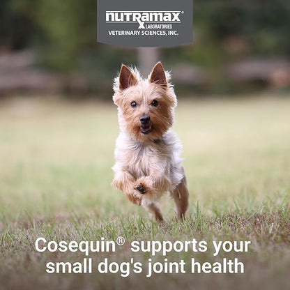 Nutramax Cosequin for Small Dogs, Joint Health Supplement, Contains Glucosamines, Chondroitin, MSM and Omega-3s, Supports Joint and Skin and Coat Health, Soft Chews, 45 Count