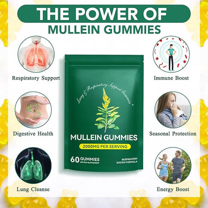 Mullein Gummies for Lung Detox, 2000mg Mullein Leaf Extract for Respiratory & Digestive & Immune Support w/Quercetin, Bromelain, Elderberry & Marshmallow, Vegan 120 Gummies (2 packs 120 gummies)