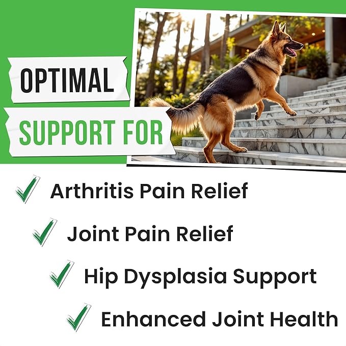 Glucosamine Chondroitin for Dogs - Joint Supplement w/Omega-3 Fish Oil - MSM - Advanced Mobility Chews - Joint Pain Relief - Hip & Joint Care - 120Ct - Made in USA