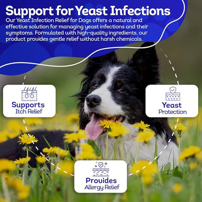 HealthyAnimals4Ever HA4E - Dog Yeast Protection - Homeopathic Support for Yeast Infections - All-Natural Preventive Care for Skin & Ear Health - 300 Tablets