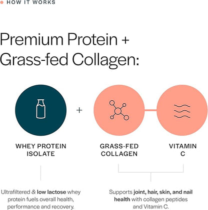 Gainful Collagen Whey Protein Powder, 21g Protein per Serving, Unflavored, Supports Muscle Recovery, Joint Health, and Skin Hydration with Grass-Fed Collagen Peptides, Vitamin C, 14 Servings