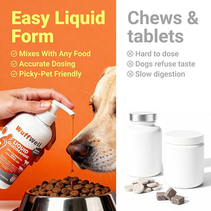 WuffWell Liquid Glucosamine for Dogs Hip & Joint Support with Chondroitin, MSM & Hyaluronic Acid, Dog Joint Supplement for Mobility & Cartilage Health, Easy Pump Dosage, All Breeds, Made in USA, 16oz