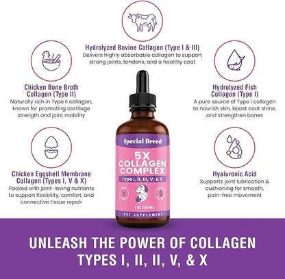 Premium Collagen for Dogs - Liquid Support for Joints, Skin, Coat, Bone, Immune System & HIPS - Collagen Supplement - Made in USA - 4oz