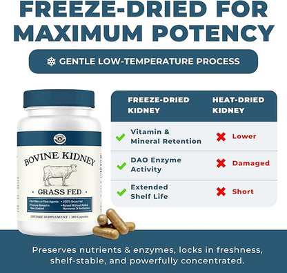 Left Coast Performance Grass Fed Beef Kidney Supplement –100% Grass Fed, Freeze Dried, Non-GMO, New Zealand Pasture Raised Beef Organ Supplement - DAO Enzyme and Histamine Support– 180 Capsules