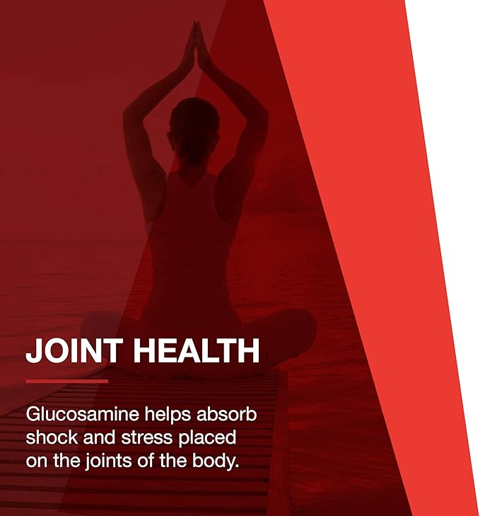 PROTOCOL FOR LIFE BALANCE Glucosamine & Chondroitin with MSM - Joint Support* - Chondroitin MSM Supplement - Non-GMO & Dairy Free - 180 Veg Caps