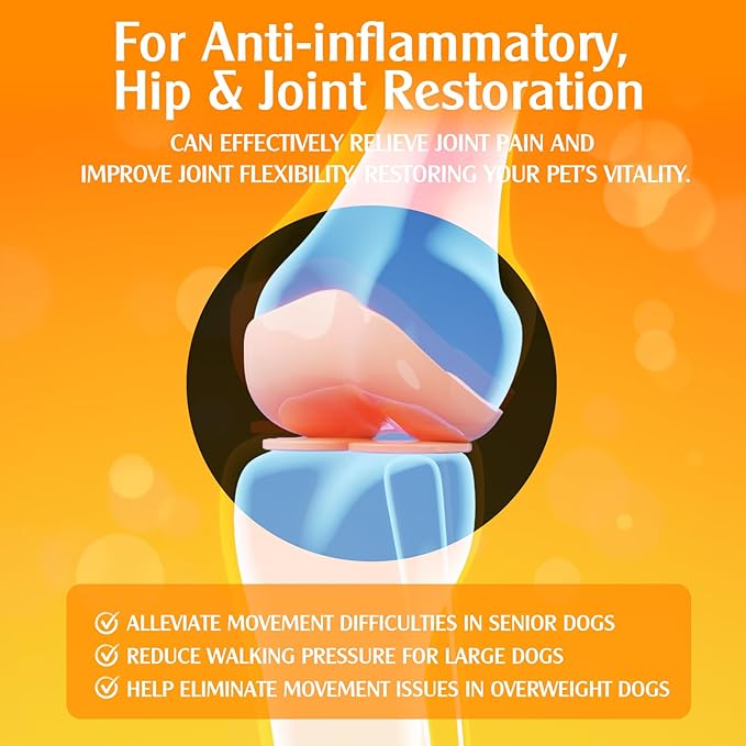 Turmeric Curcumin Drops for Dog & Senior Dogs: Anti-inflammatory Pain Relief, Eliminates Joint Pain, Improve Joint Mobility,Brain, Liver, Bone, Muscle, Skin&Coat - Liquid Absorb Better