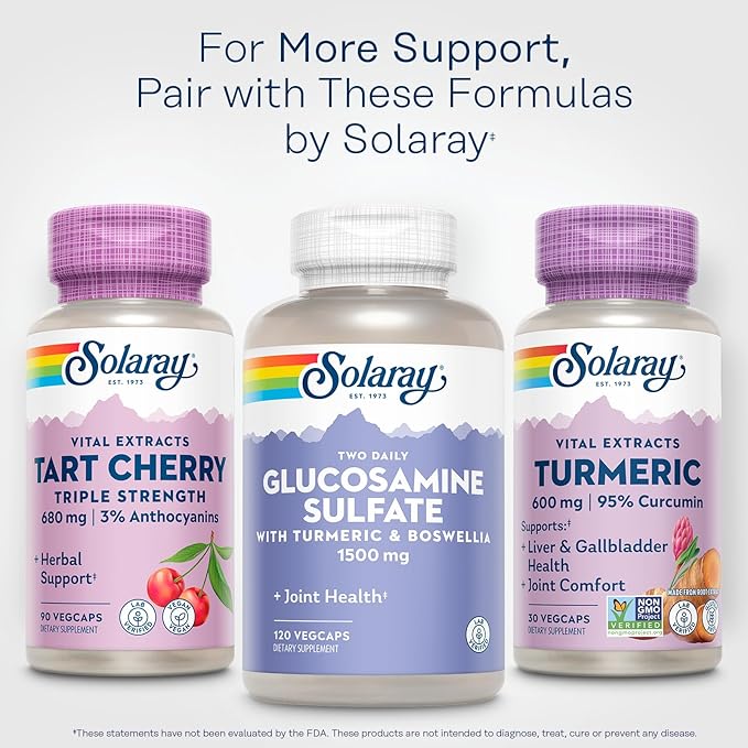 SOLARAY Turmeric Supplement 600mg - Turmeric Root with 95% Curcumin - Joint Support Supplement - Joint Health, Gallbladder and Liver Support, Non-GMO, Vegan, Gluten Free, 60-Day Guarantee, 30 Servings