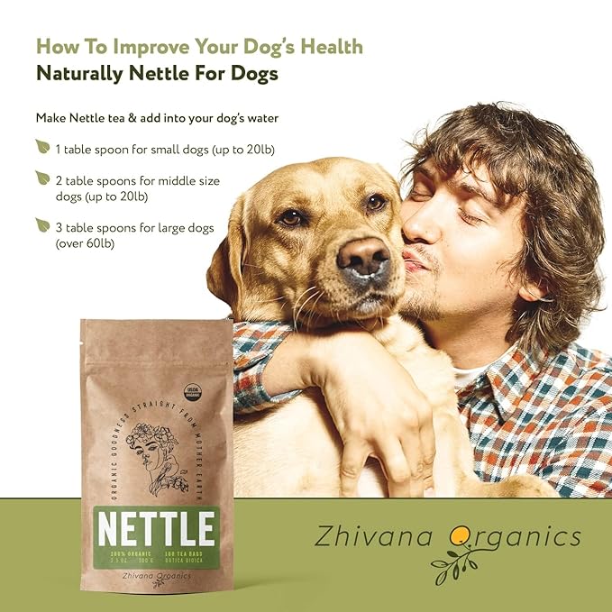 Nettle Tea Organic (100 Tea Bags) - Stinging Nettle Leaf TeaBags (Urtica Dioica) - Te de Ortiga Verde Organica - Support Digestion, Fluid Balance, Kidney, Skin, Hair