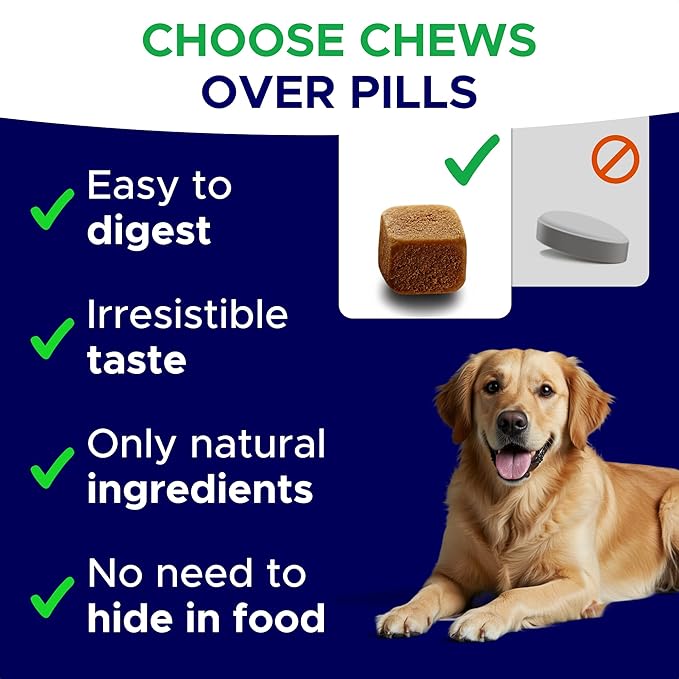 Melatonin for Dogs to Sleep 6mg - Doggie Sleep Aid Treats - Sleeping Pills for Anxiety - Extra Strength Calming Chews Large & Medium Breed Help Sleep at Night - Made in USA - 120Ct