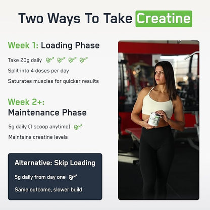 SteelFit Creapure Creatine Monohydrate Powder, Unflavored - German Micronized Creatine Powder for Men & Women - Gym Workout Nutritional Supplements for Muscle Gain, Brain Health & Strength Building