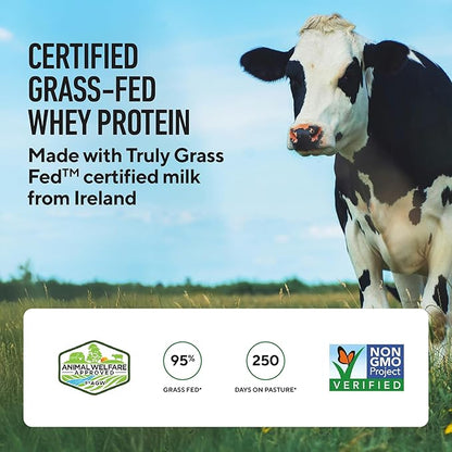 LEGION Whey+ Protein Whey Isolate from Grass Fed Cows (Chocolate Hazelnut, 30 Servings) - Whey Protein Isolate Powder Low Calorie, Non-GMO, Sugar Free, Lactose, Gluten Free, All Natural Protein Powder