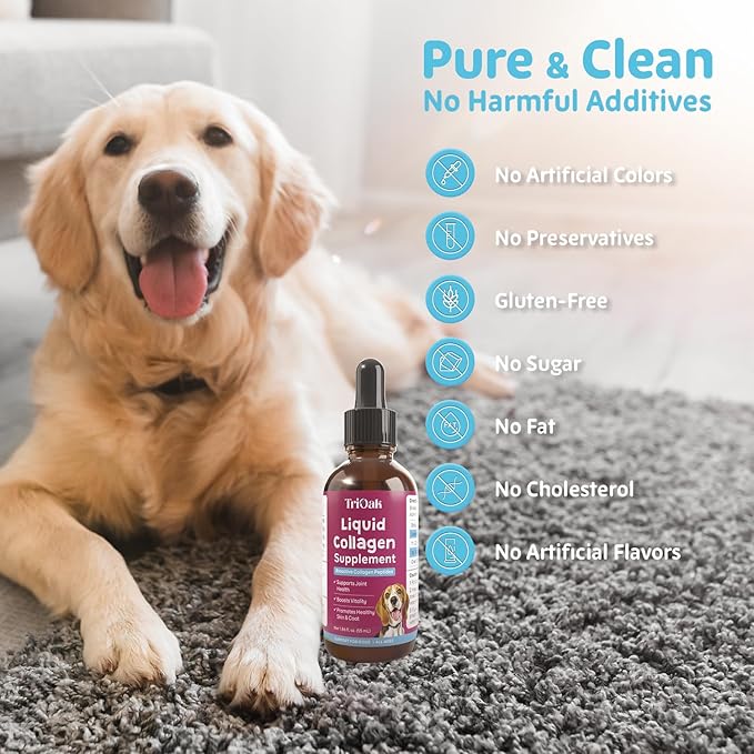 Liquid Collagen Supplement Drops for Dogs: Hip & Joint Support, Skin & Coat Health, Itch Relief in One Daily Supplement with Bioactive Collagen Peptides - Pure Formula Support for All Dog Sizes & Ages