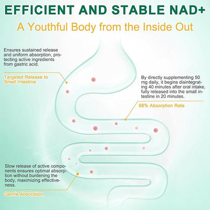 NAD Supplement 120 Capsules, Liposomal Nicotinamide Riboside, Resveratrol, Quercetin, NAD Nicotinamide Riboside Resveratrol 910mg for Women & Men, NAD Supplement for Anti Aging and Cell Regeneration