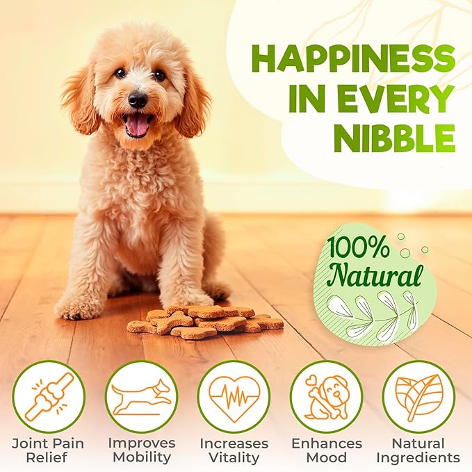 ZENO Glucosamine HCL & Hip and Joint Chews for Dogs - 150 pcs - Advanced Hip and Joint Support for Dogs - with MSM & Green Lipped Mussel - Beef