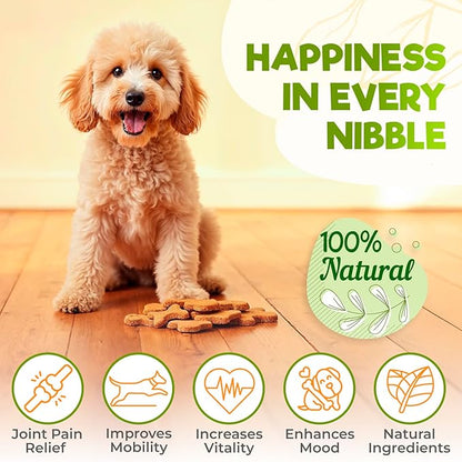 ZENO Glucosamine HCL & Hip and Joint Chews for Dogs - 150 pcs - Advanced Hip and Joint Support for Dogs - with MSM & Green Lipped Mussel - Beef
