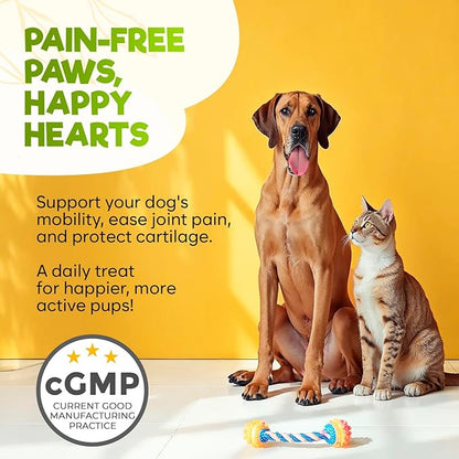 ZENO Glucosamine HCL & Hip and Joint Chews for Dogs - 150 pcs - Advanced Hip and Joint Support for Dogs - with MSM & Green Lipped Mussel - Beef