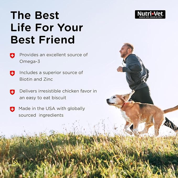 Nutri-Vet Skin & Coat Biscuits, Skin and Coat Supplement, Dog Treat, Dog Supplements, Omega 3 Fish Oil, Small Sized Biscuit, Made with Omega 3 and Biotin, Fish Oil Treat for Pets, 16 oz (Pack of 2)