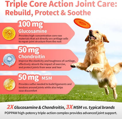 Joint Supplement for Dogs - 10 in 1 Hip and Joint Supplement Drops with Hyaluronic Acid, Liquid Glucosamine for Dogs with Chondroitin, MSM & Omega 3-2 FL.Oz - for All Breeds & Sizes