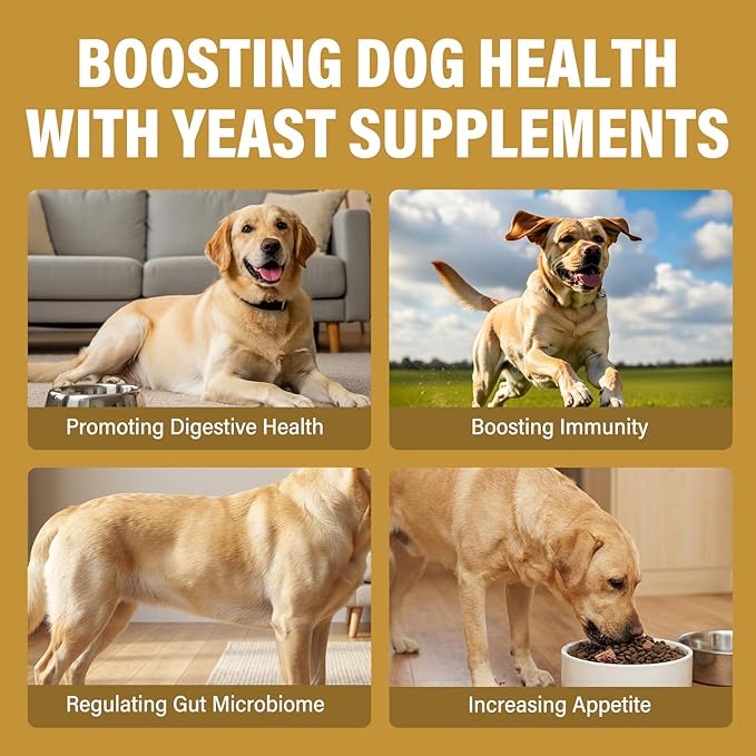 Yeast Infection Treatment for Dogs - Soothing Ear & Skin Relief for Itch & Inflammation, Natural Dog Allergy Support