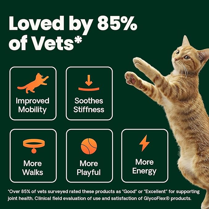 VetriScience Extra Strength Healthy Hip & Joint Chews, GlycoFlex Glucosamine and Green-Lipped Mussel Joint Support Supplement for Cats, Promote Mobility and Soothe Joint Discomfort, Chicken, 60 Count