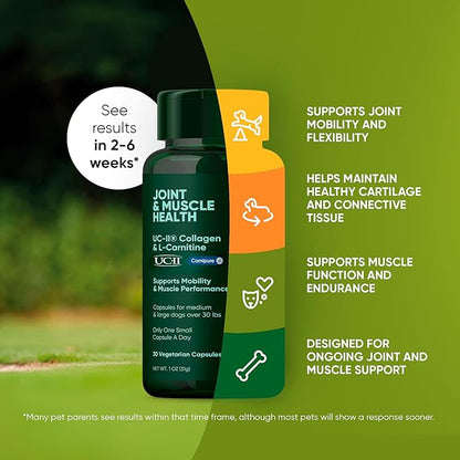 Rooted Owl Joint and Muscle Support for Large Dogs (Over 30 Lbs) - Supplement with UC-II Type II Collagen and L-Carnitine - 30 Count