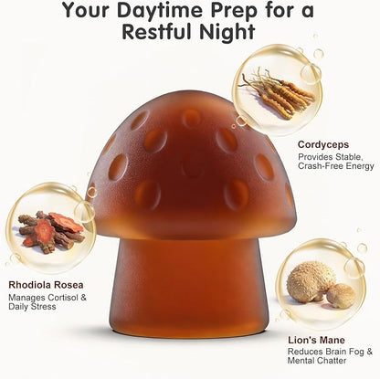 Simlike Mushroom Gummies Supplement for Sleep and Energy with Ashwagandha & Lion's Mane, Day & Night Routine,Elderberry Flavor, No Sugar (30-Day Supply)