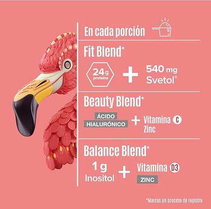 Birdman Fitmingo: Vegan Protein with Fit, Beauty and Balance Blends. With Hyaluronic Acid, Inositol, Collagen Enhancers, Vitamin C, Vitamin D3, Zinc, Digestive Enzymes and Svetol. Vanilla Flavor 1 kg