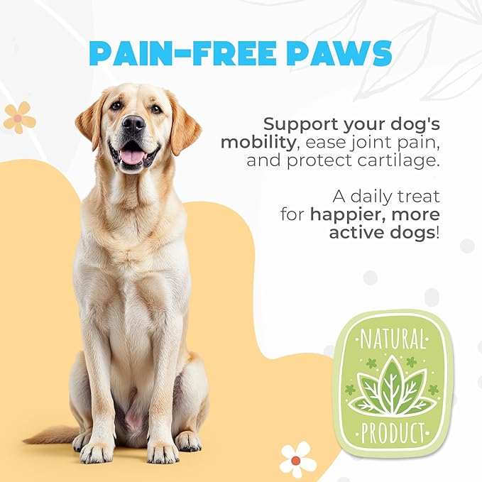 ZENO Glucosamine HCL & Hip and Joint Chews for Dogs - 150 pcs - Advanced Hip and Joint Support for Senior Dogs - with MSM & Green Lipped Mussel - Beef
