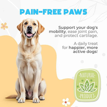 ZENO Glucosamine HCL & Hip and Joint Chews for Dogs - 150 pcs - Advanced Hip and Joint Support for Senior Dogs - with MSM & Green Lipped Mussel - Beef