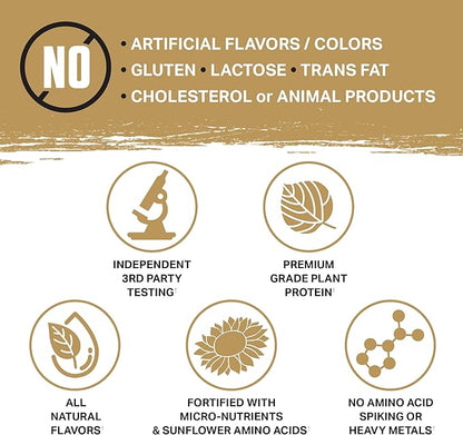 Ambrosia Planta - Plant-Based Protein Powder 20g | Dairy Free Vegan Protein Powder with BCAA Amino Acids | Keto-Friendly, No Added Sugar | 25 Servings | Candy Bar