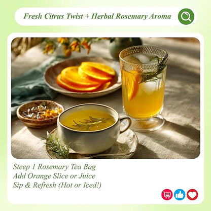 WT WEETEE Rosemary Leaf Tea Bags 100 Count,100% Caffeine-Free Herbal Tea Made from Pure Rosemary Leaves, Supports Digestion & Antioxidants