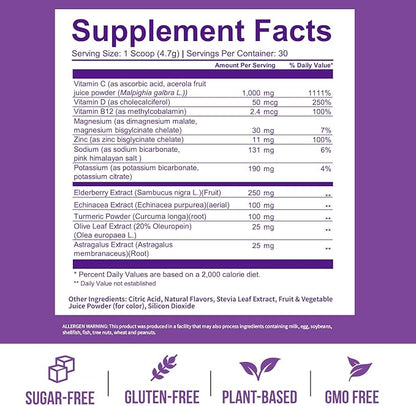 GOBIOTIX Vitamin C - Immune Defense Support Supplement - Immunity Powder Wellness Booster - Vegan Superfood - Elderberry, Turmeric, B12 Vitamin Supplement, Non-GMO and Sugar Free (Berry)