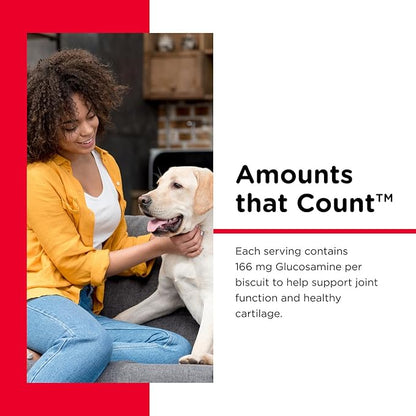 Nutri-Vet Hip & Joint Biscuits, Dog Joint Supplement, Dog Treat, Small Sized Biscuit with 166mg Glucosamine, Puppy Supplements, Tasty Glucosamine Treat, Puppy Essentials, 16 oz (Pack of 2)