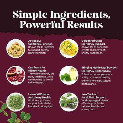 Advanced Kidney Support Supplement - Kidney Cleanse Detox & Repair Cranberry Extract Capsules with Uva Ursi, Stinging Nettle & Astragalus for Kidney Health - Urinary Tract Health - 60 Count
