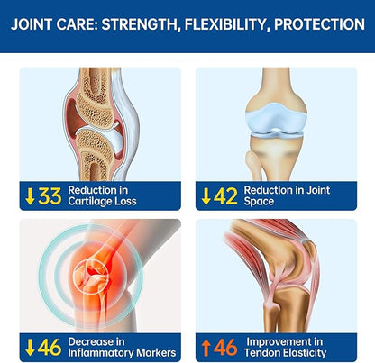 purmeo 5-Day Fast-Acting Joint Health Supplement - Support for Comfort, Cartilage, Strength & Flexibility - OVOMET Eggshell Membrane Glucosamine Chondroitin, MSM & Boswellia - Made in Germany, 120ct