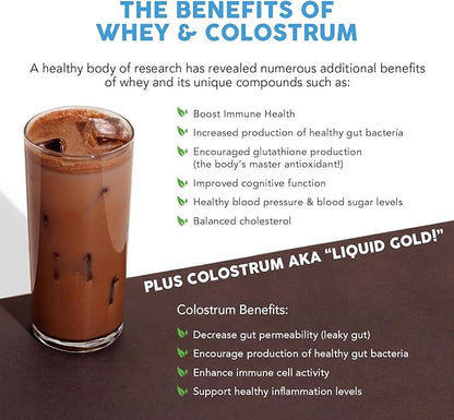 Paleovalley 100% Grassfed Whey Protein Powder with Colostrum, 30 Serving - Chocolate, 13g Protein, Muscle Building, Immune Support, Gut Health