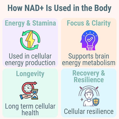 SHIZAM NMN NMNH NAD+ Gummies – NAD Supplement with Reduced Nicotinamide Mononucleotide, TMG (Trimethylglycine, Betaine) & Trans-Resveratrol, Methylated B-Complex